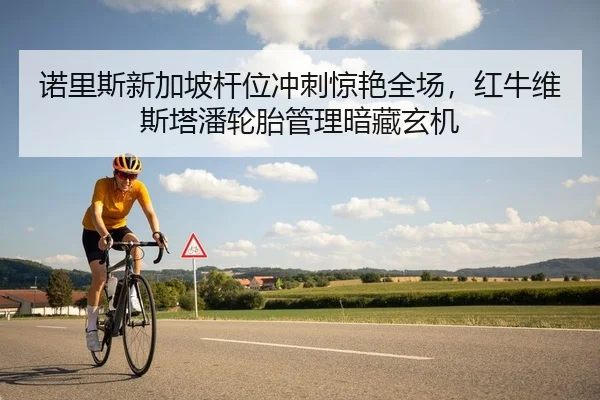 诺里斯新加坡杆位冲刺惊艳全场，红牛维斯塔潘轮胎管理暗藏玄机